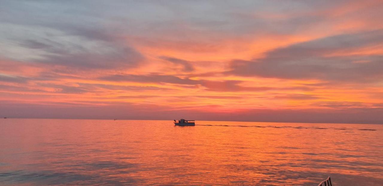Nautilus, Nearby Svetilnik *
